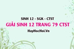 Giải Sinh 12 trang 79 Chân trời sáng tạo SGK